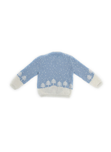Pull jacquard pingouin Ilyan
