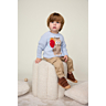 M6556 Illian raglan-trui met jacquardkat op PDF fiche